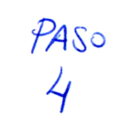 Paso-04